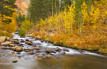 Bishop Creek Beauty