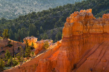 Bryce Point Sunrise