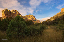 Cave Creek Canyon Morning