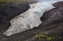 Exit Glacier