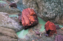 Green Mud & Red Rocks