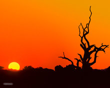 Kalahari, Last Light