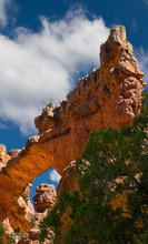 Losee Canyon Arch
