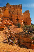 Losee Canyon