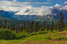 Majestic Valley