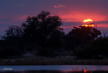 Mboma Island Sunset