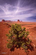 Monument Valley From Artist Point