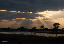 Okavango God Rays