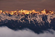 Olympic Mountain Alpenglow