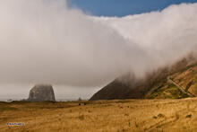 Cape Mendocino