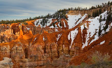 Ponderosa Canyon
