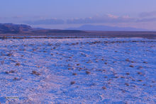 Pastel Morning