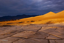 Golden Hour Dunes