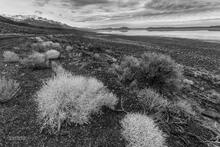 Alvord Desert