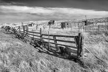 Hi-Line Relics