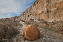 Cannonball Concretion