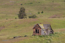 Ramshackle