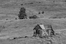 Ramshackle