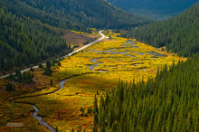 Roaring Fork River Valley