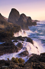 Rushing Back to the Sea