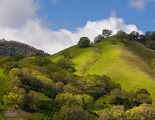 Russian River Valley Foothills