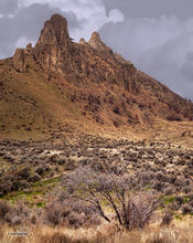 Saddle Rock