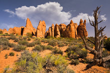 Sandstone Fins