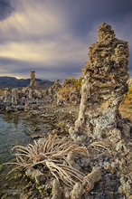 Skeleton on the Beach