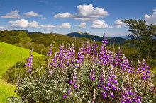 Sugarloaf Ridge