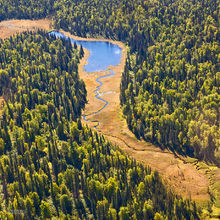 Taiga Meanders