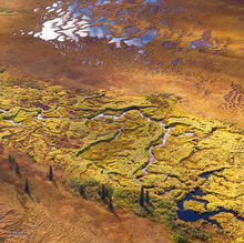 Tundra Meanders