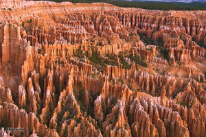 Bryce Amphitheater