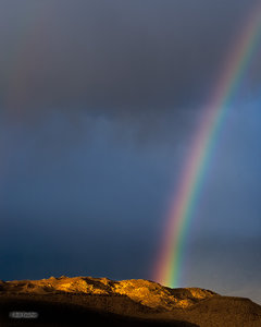 Buttermilk Rainbow