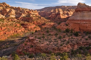 Calf Creek Canyon