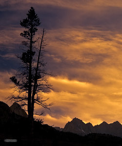 High Sierra Dreams