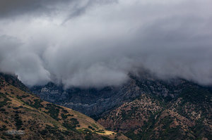 Mount Nebo Wilderness