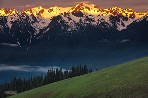 Olympic Sunrise