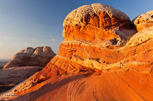 Orange Sherbet Dome