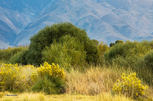 Owens Valley Layers