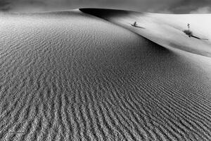 White Sands Morning