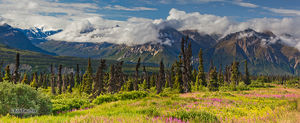 Majestic Valley