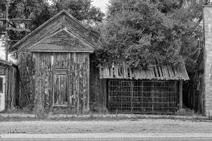 Feed Store