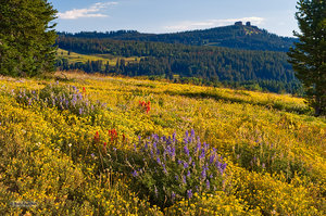 Rabbit Ears Pass