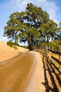Reeves Canyon Road