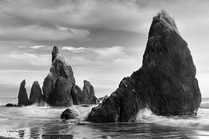 Ruby Beach Sea Stacks