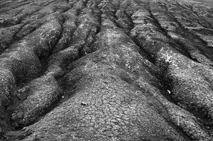 Scorched Earth