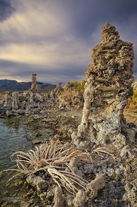 Skeleton on the Beach