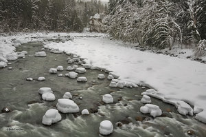 Stillaguamish River Hummocks