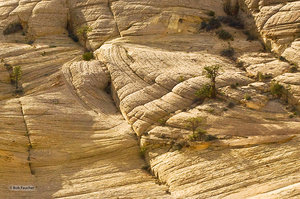 Tabular Cross Bedding