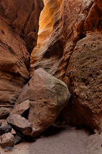 The Way Out